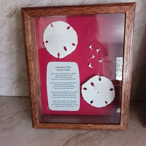VNT Legend Of The Sand Dollar Maplewood Frame RED Shadowbox Decor Art Coastal